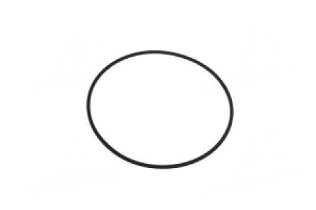 R226598 O-ring John Deere