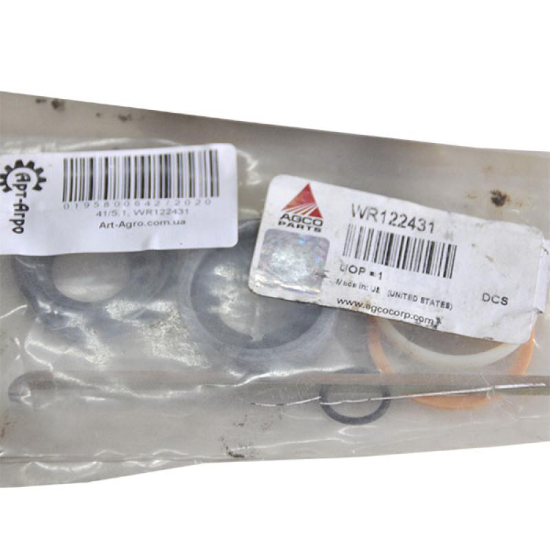 WR122431 Hydraulic Cylinder Repair Kit Massey Ferguson (AGCO PARTS)