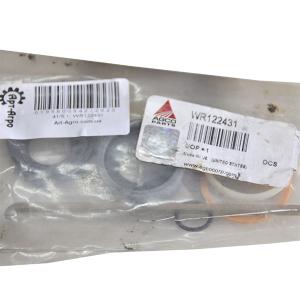 WR122431 Hydraulic Cylinder Repair Kit Massey Ferguson (AGCO PARTS)