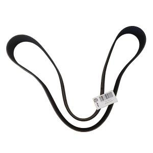 3098742 Poly-V Belt CUMMINS