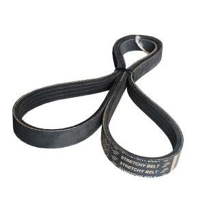504145203 V-belt Pix