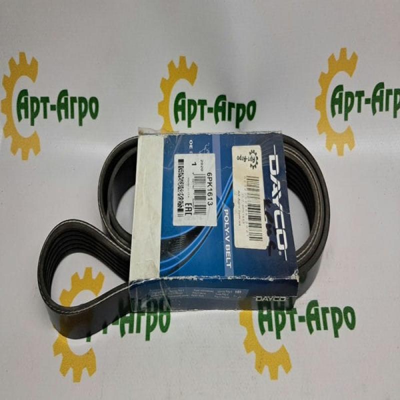 6PK1613 Multi-ribbed Belt DAYCO