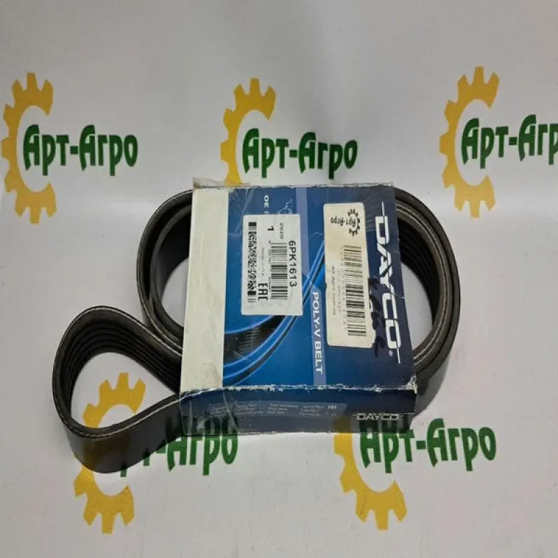 6PK1613 Multi-ribbed Belt DAYCO