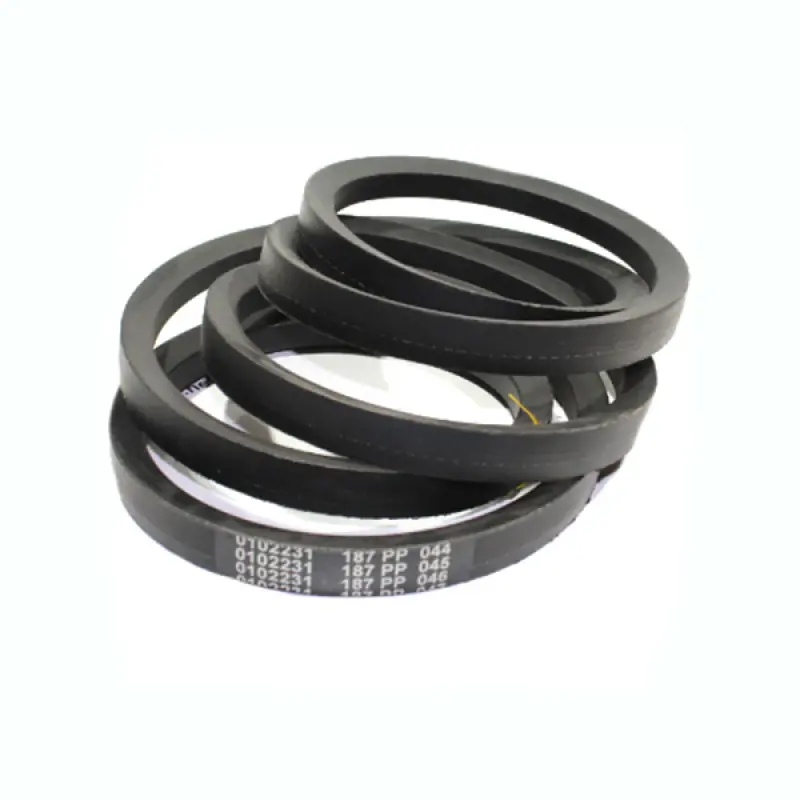 0102231 single belt Gates