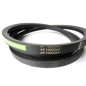 AP1000265 Pas napędowy Optibelt