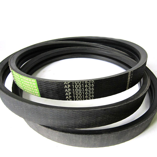AP1001636 Dwuramienny pasek OPTIBELT