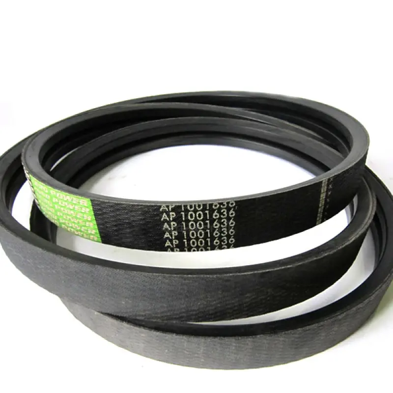 AP1001636 Dwuramienny pasek OPTIBELT