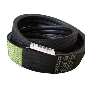 AP1001815 Pas Optibelt