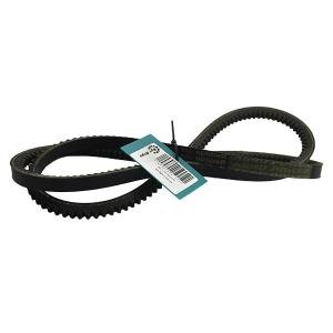 AP1002570 Pas Optibelt