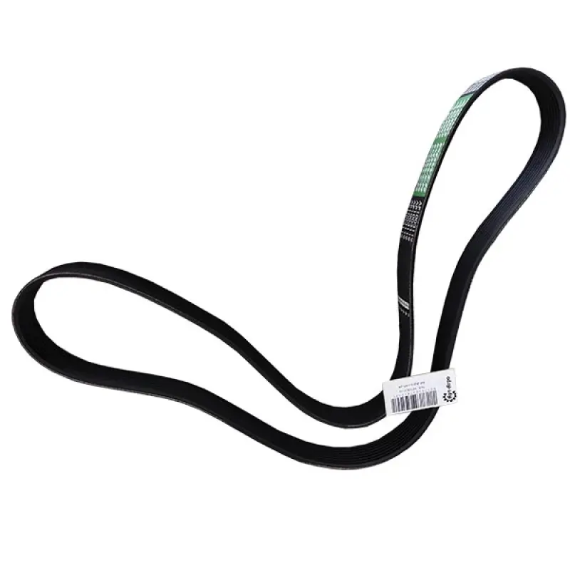 AP1003119 Pasek wieloramienny Optibelt