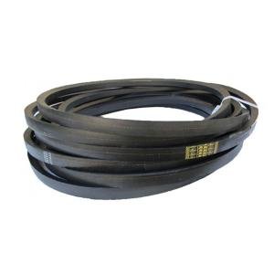 0202517 Single-direction Belt Gates
