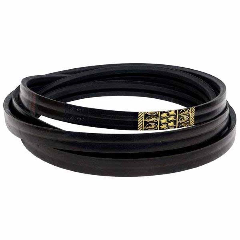 0223179 Bi-directional Belt Gates