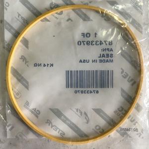 87433970 Seals, MX310 CNH