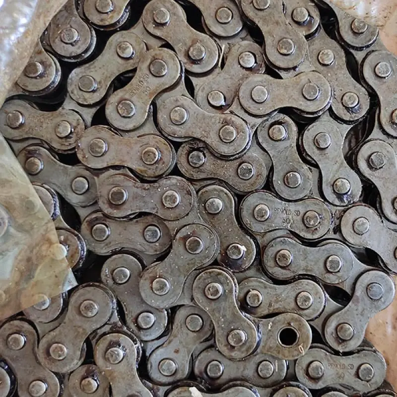 50H-1 Roller Chain L=3.05 m Renold SD