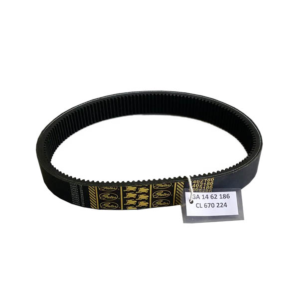 1462186 Gates Belt
