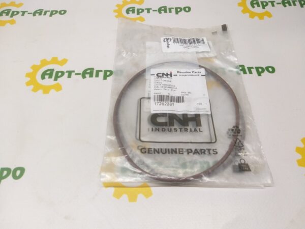 17292281 O-ring CNH