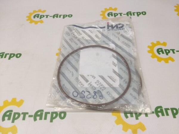 17291881 O-ring CNH