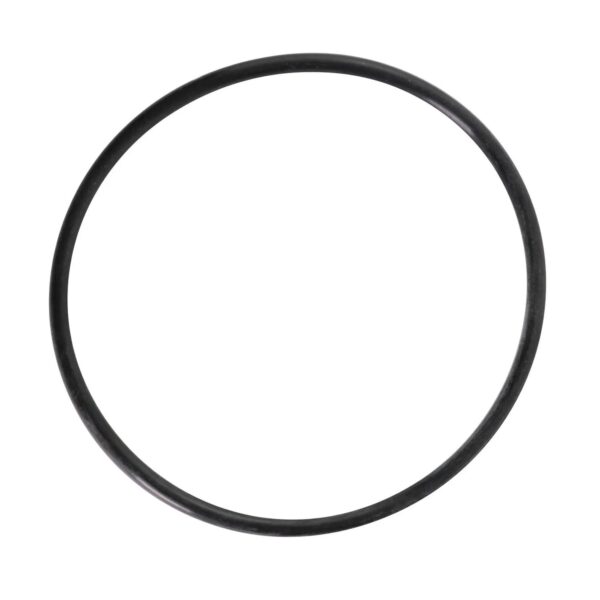 381895 O-ring CNH