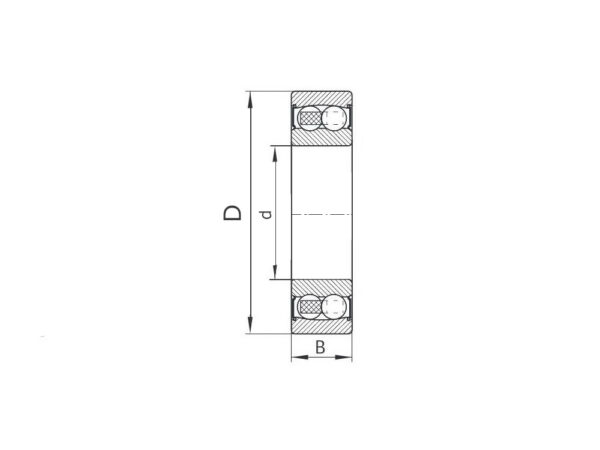 2207 2RS Кит Подшипник двухрядный шариковый