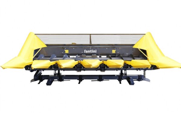 Fantini