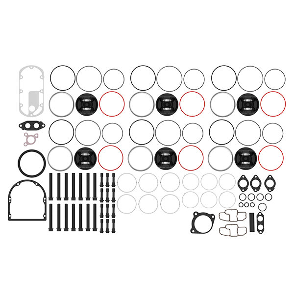 Zestaw naprawczy silnika John Deere DZ10599 - obrazek 2